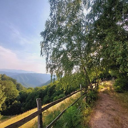 Villa Casuta De Lemn Tarsa  Exterior foto
